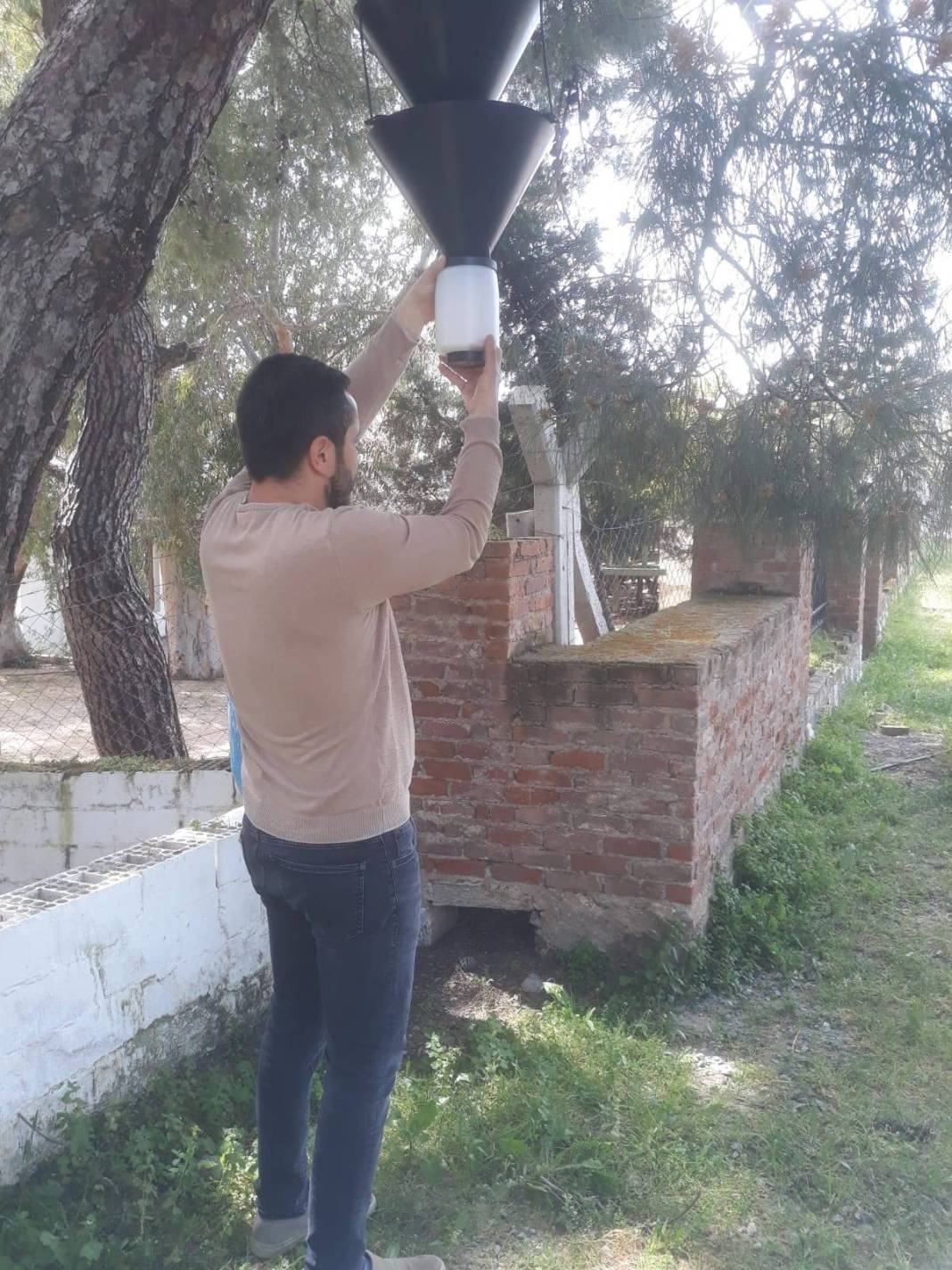 O kentte ağaçlara yerleştirilen cisimler endişelendirdi! Meğer önüne çıkan her şey yıkıp geçiyormuş 10